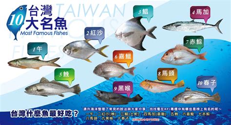 魚排名|台灣好魚排行榜